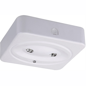 2*2W LED Emergency Downlight(EL0204-SS) 2*2W LED Emergency Downlight(EL0204-SS)